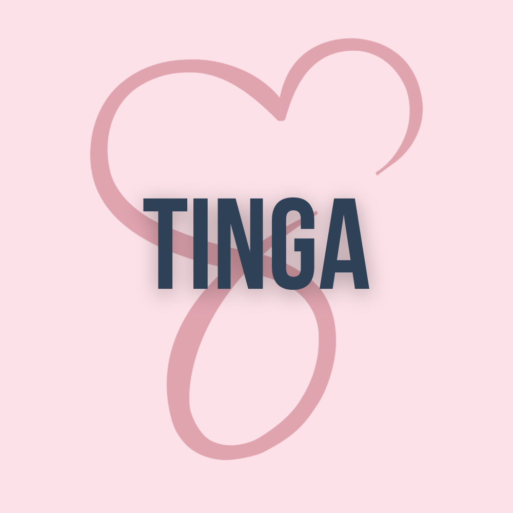 Tinga V2