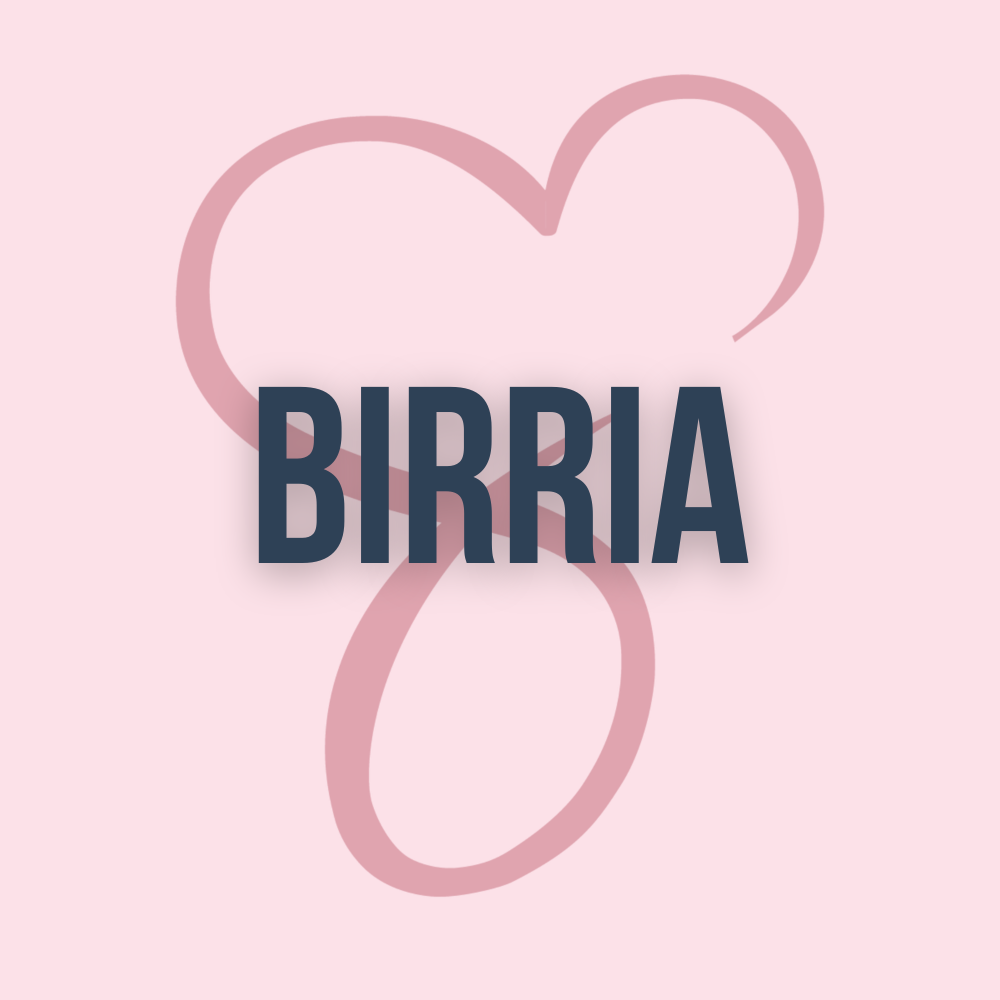 Birria V2
