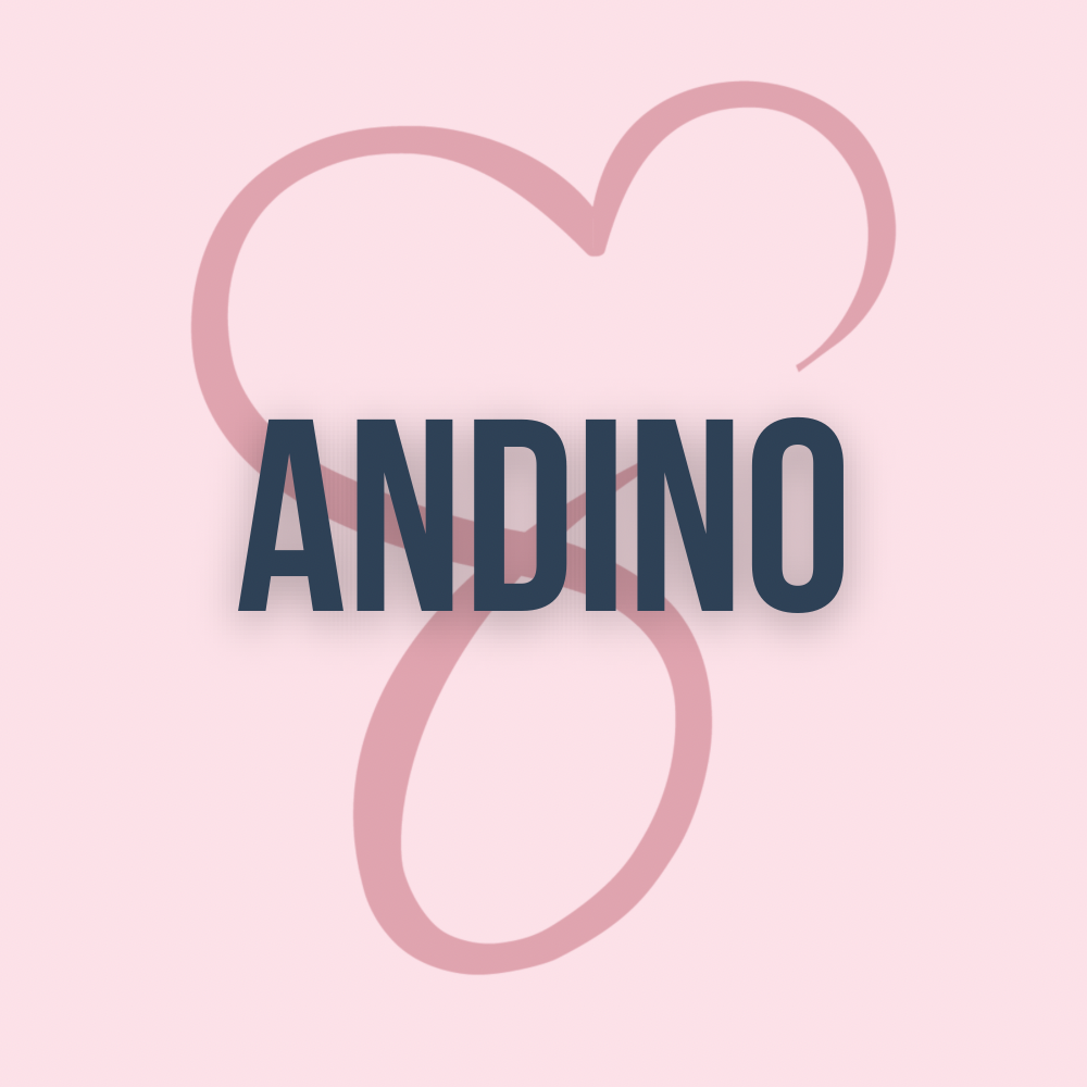 Andino