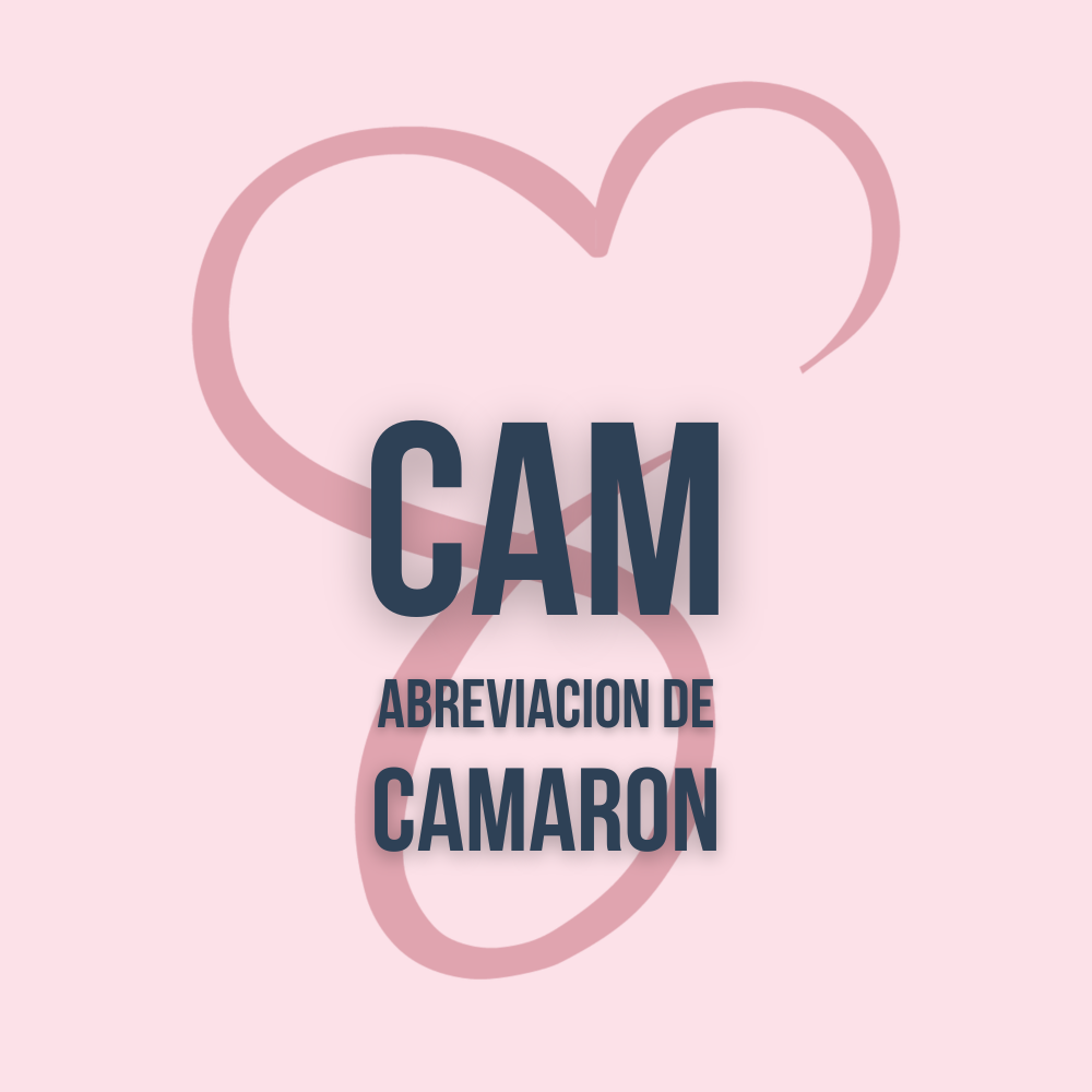 CAM V2