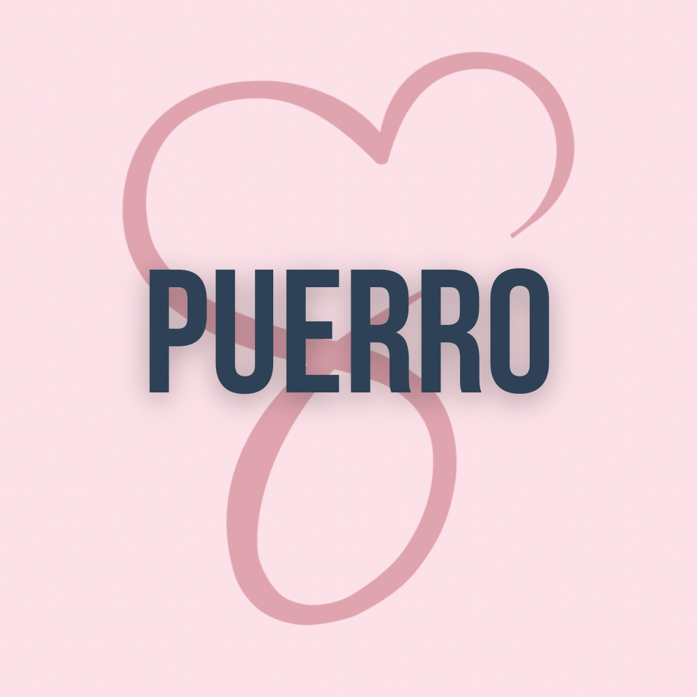 Puerro V2