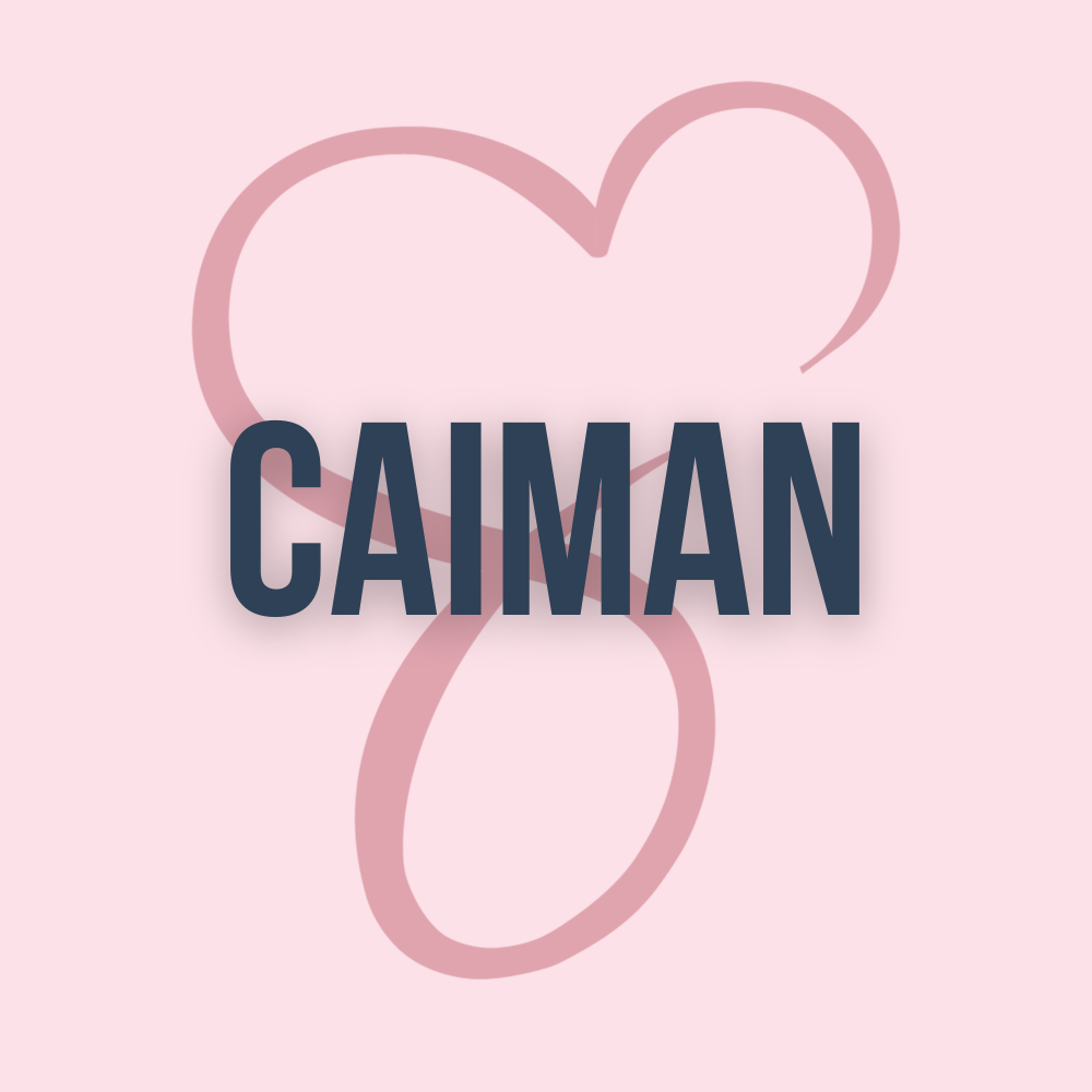 Caiman V2