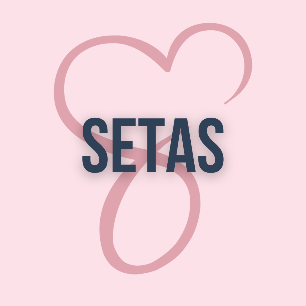 Setas V2