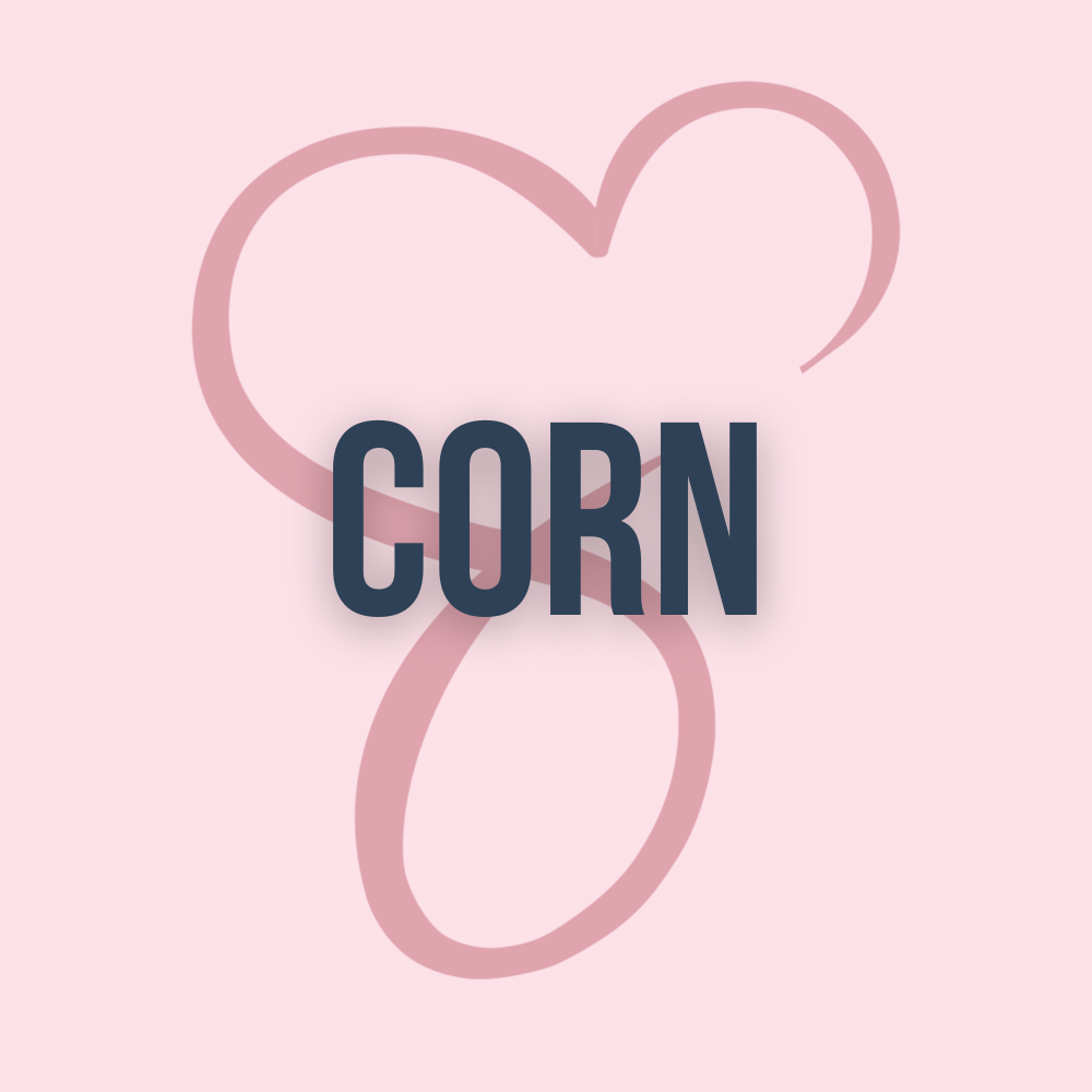 Corn V2