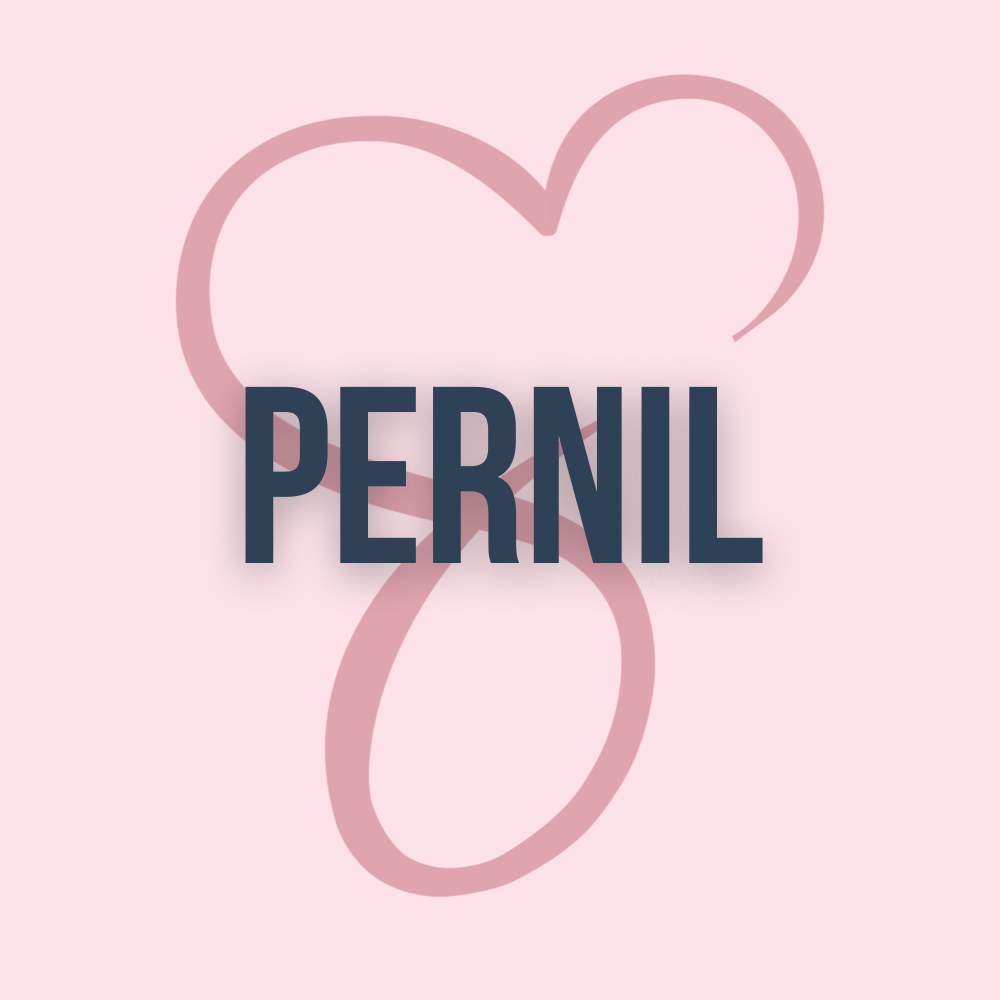 Pernil V2