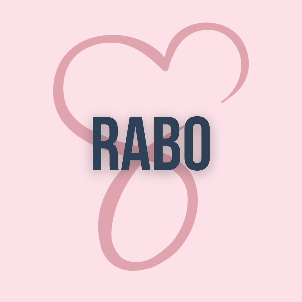 Rabo V2