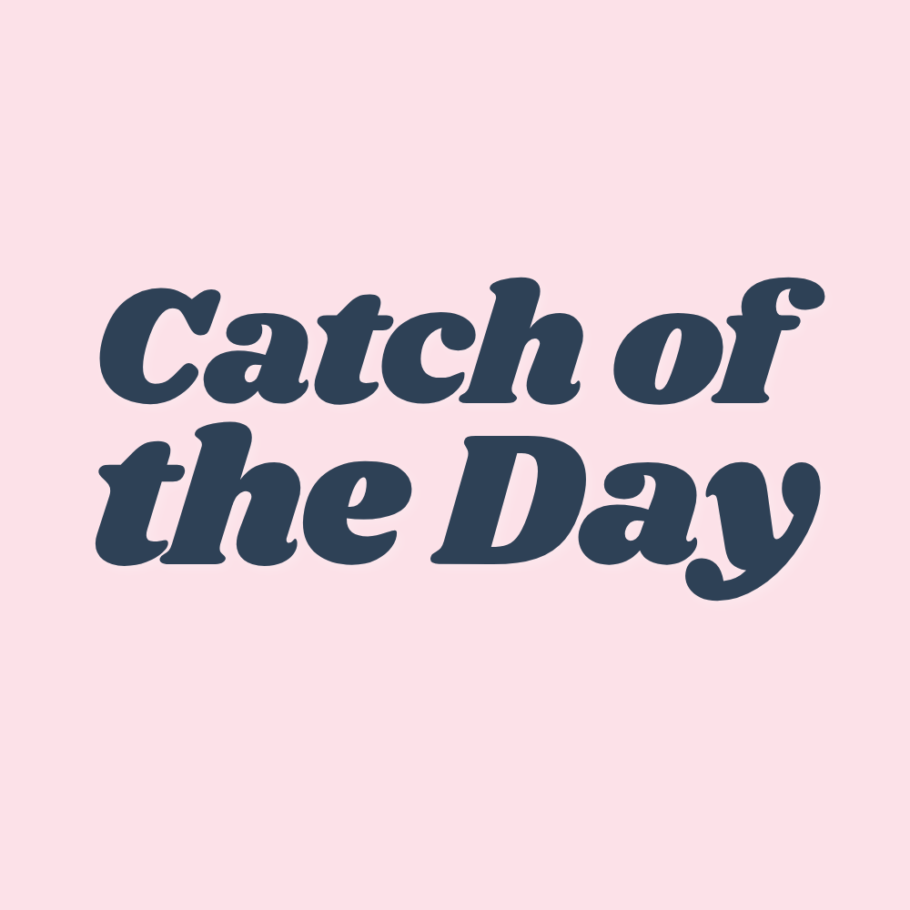 Catch of the Day V2